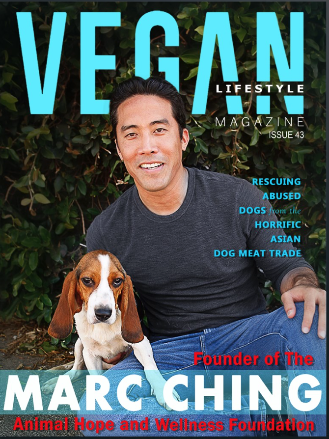 Screen Shot 2017-08-10 at 11.00.15 AM